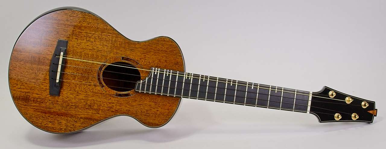 5 string Mahogany ukulele